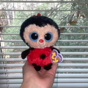 Bugsy the ladybug beanie boo by Ty. Good condition.